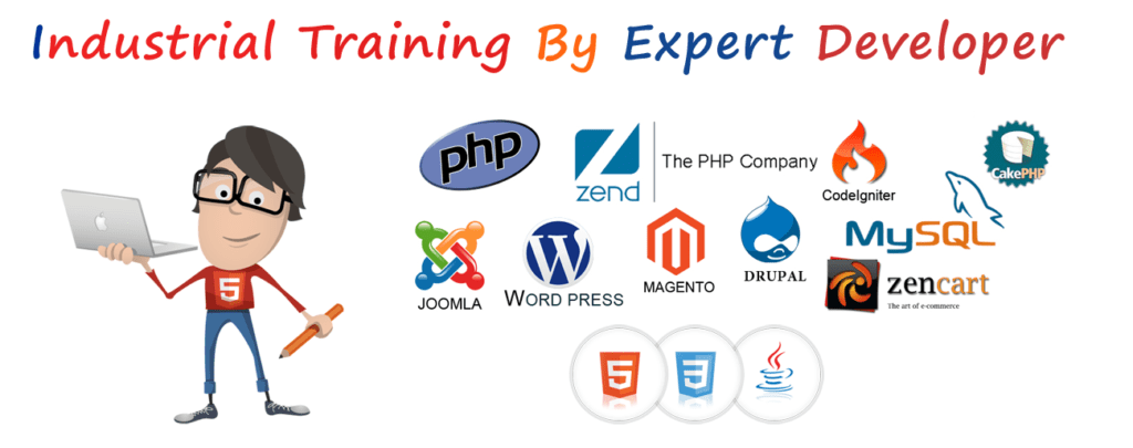 3 Months Industrial Training